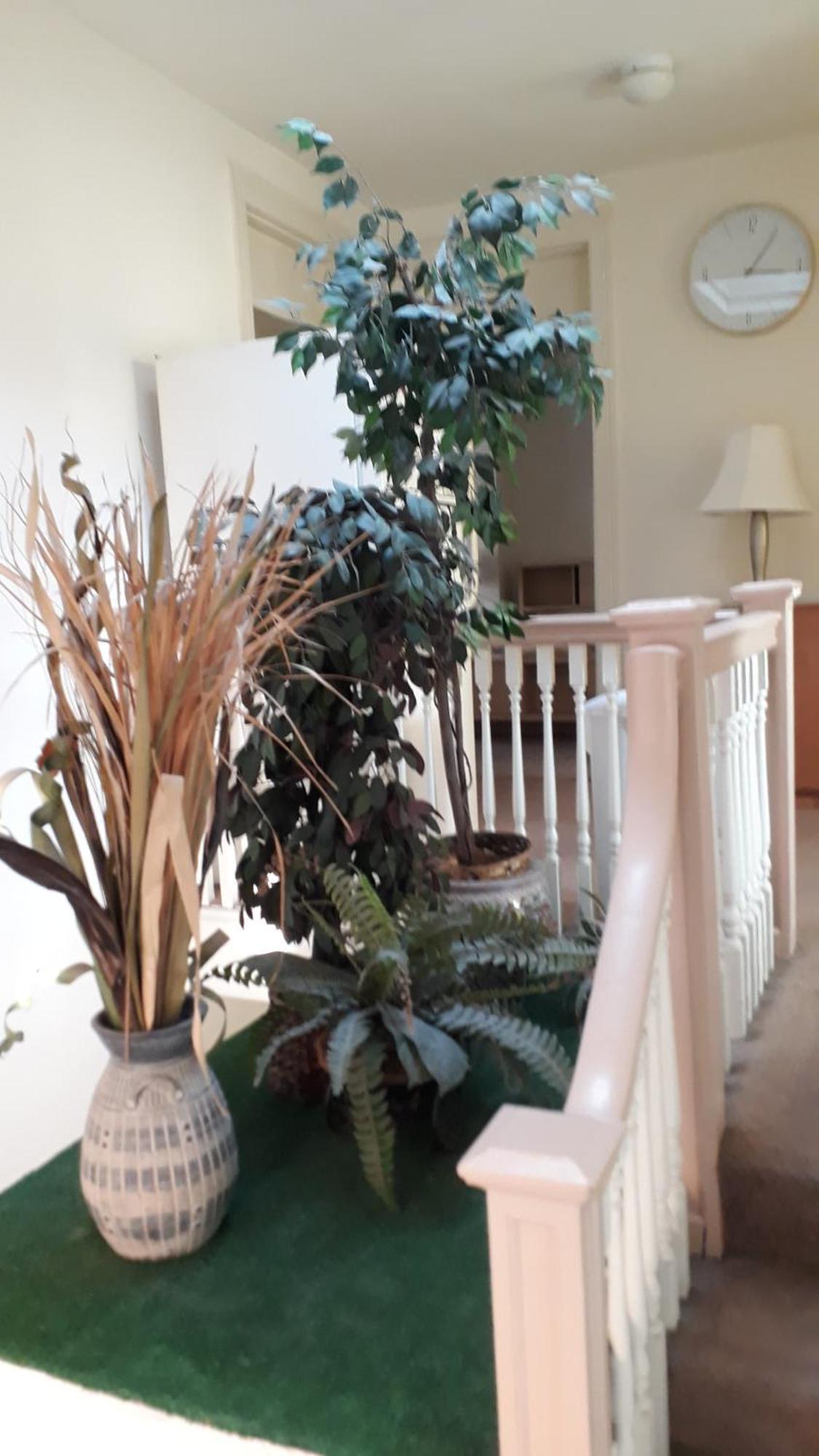 Pleasant Rooming House Washington Extérieur photo